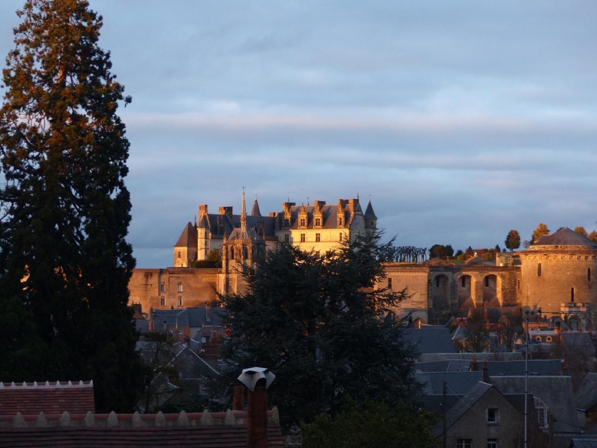 Maison Centre Ville Avec Parking, Jardin, Vue, Ac, Le Point De Vue De Leonard Amboise Eksteriør bilde